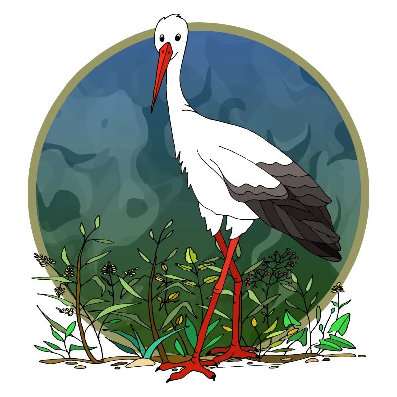 Stork bird