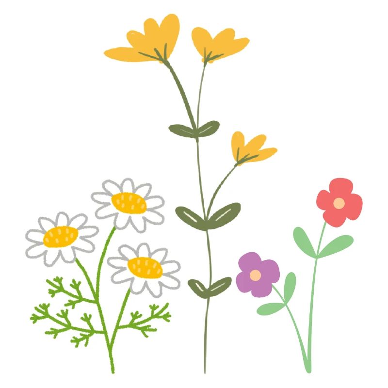 Fleurs Blumen