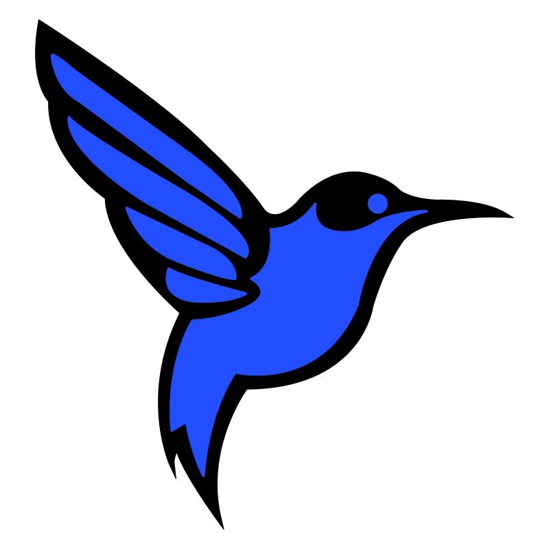 Colibri Oiseau