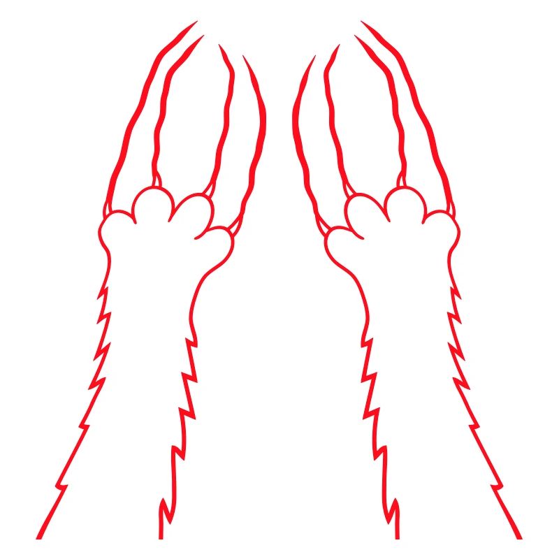 Chats, Griffes, Pattes, Pattes, Griffes, Griffures, Rayures