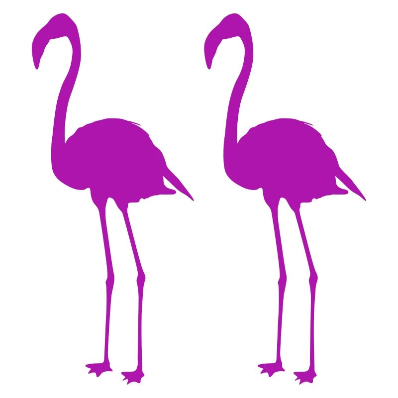 flamingos