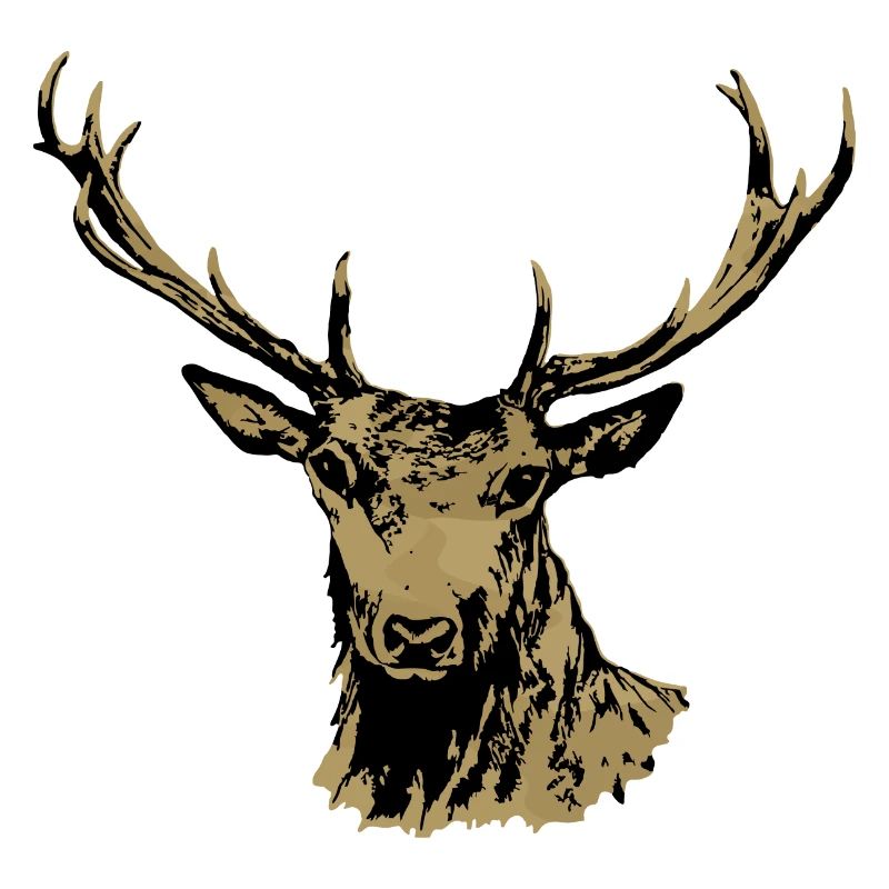 Cerf