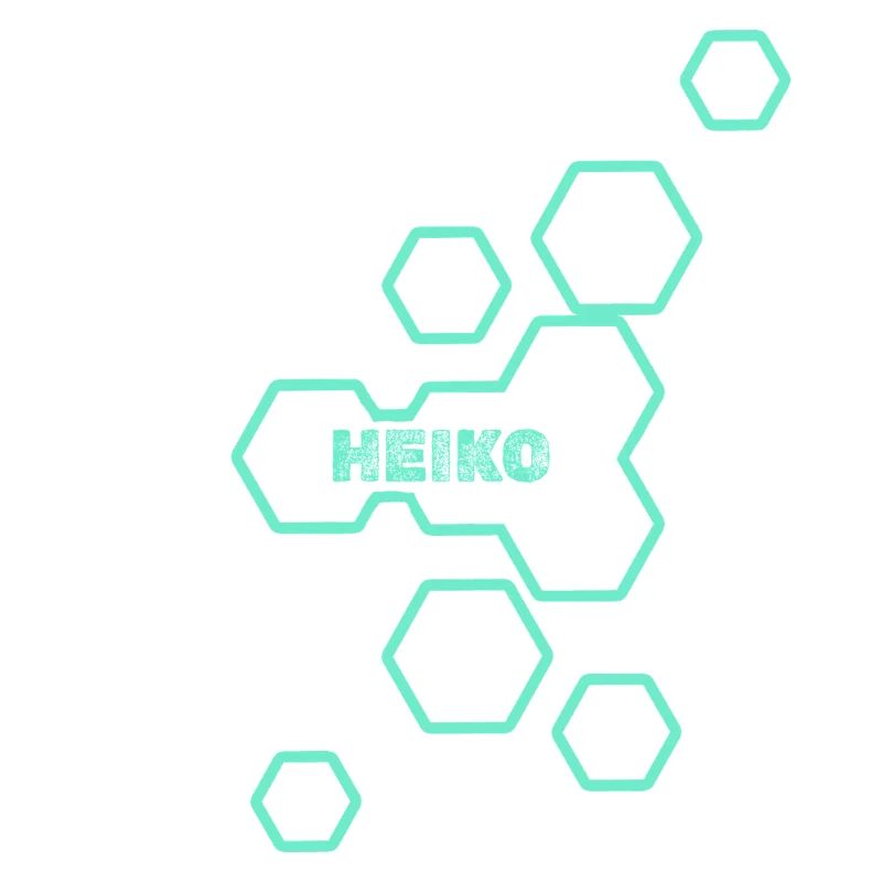 Gift for Heiko