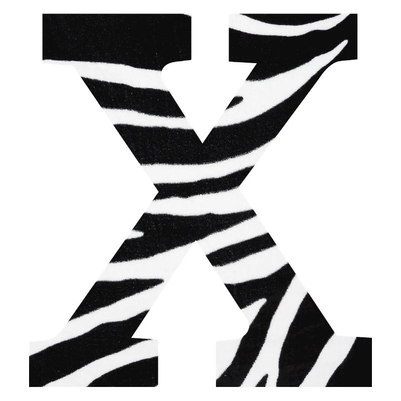 Letter x zebra