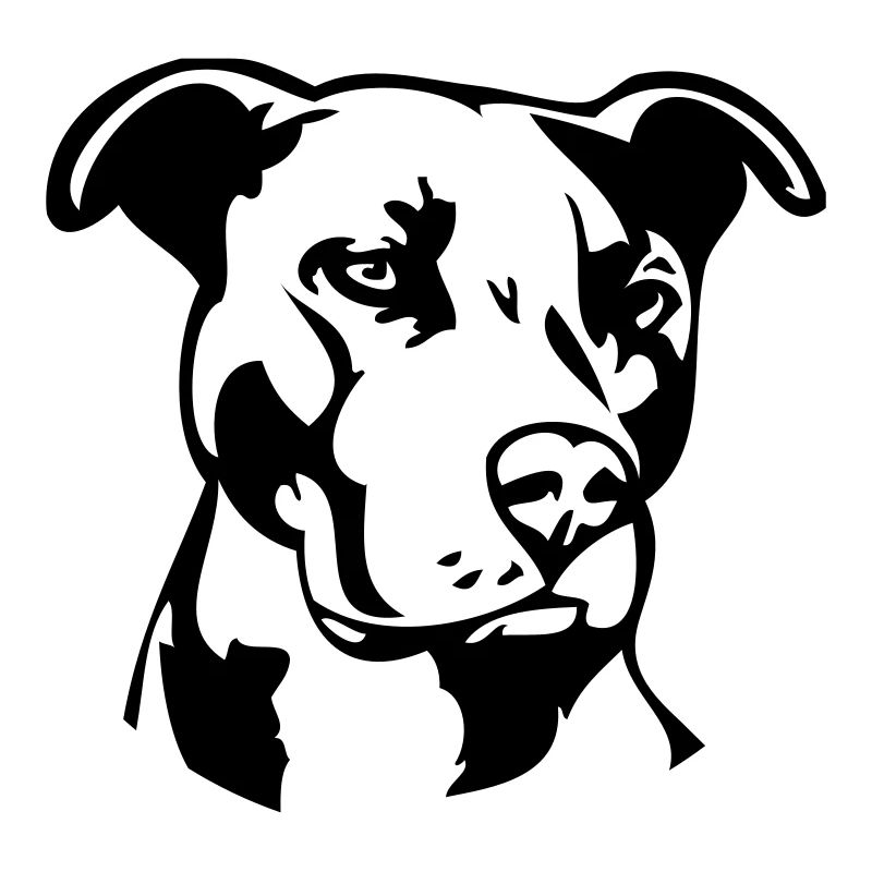 Pitbull einfarbig - Hund Kampfhund