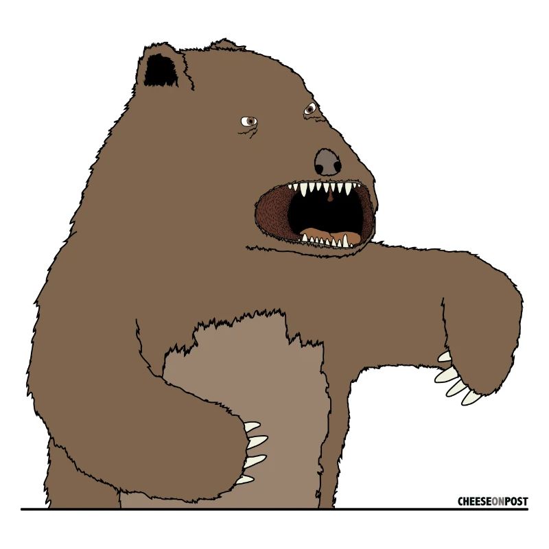 bear!