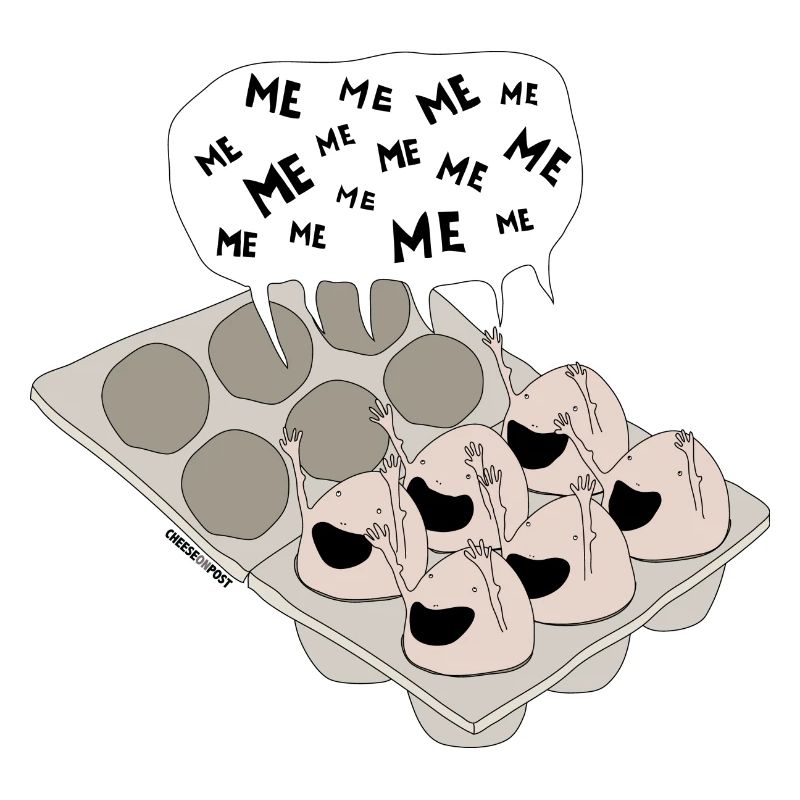 eggs