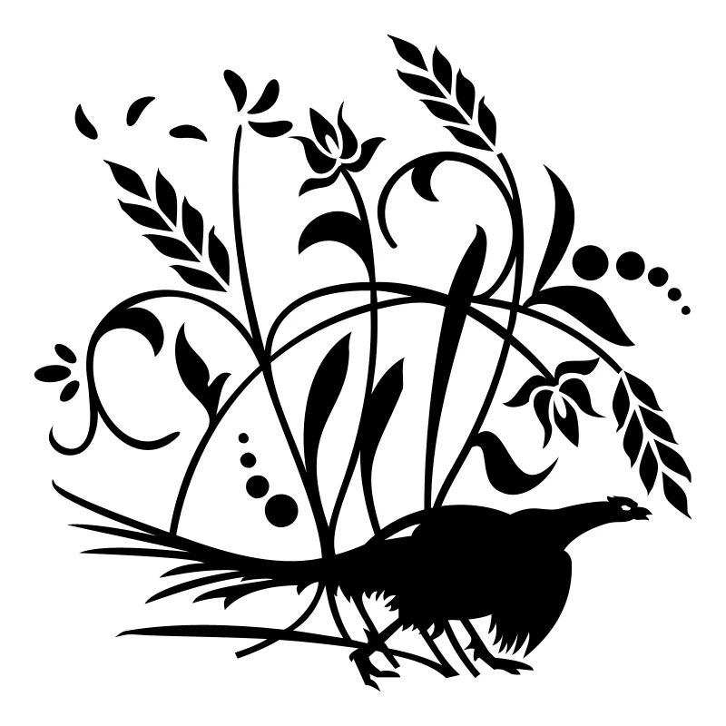 Fasan im Feld / pheasant n the field (1c)