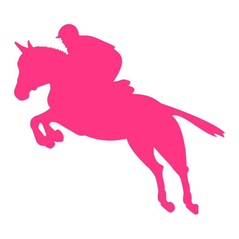 Pferd Springreiten Reiter
