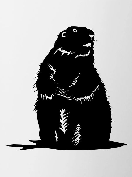 Murmeltier