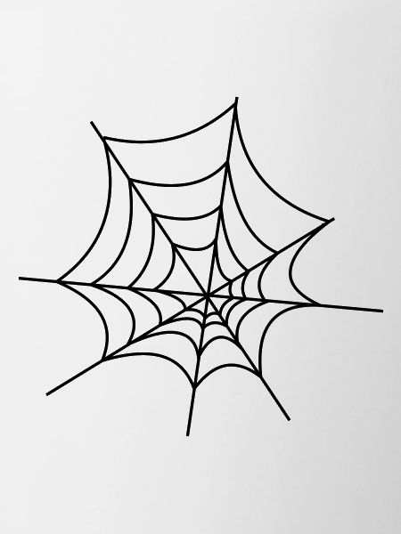 Spinnennetz