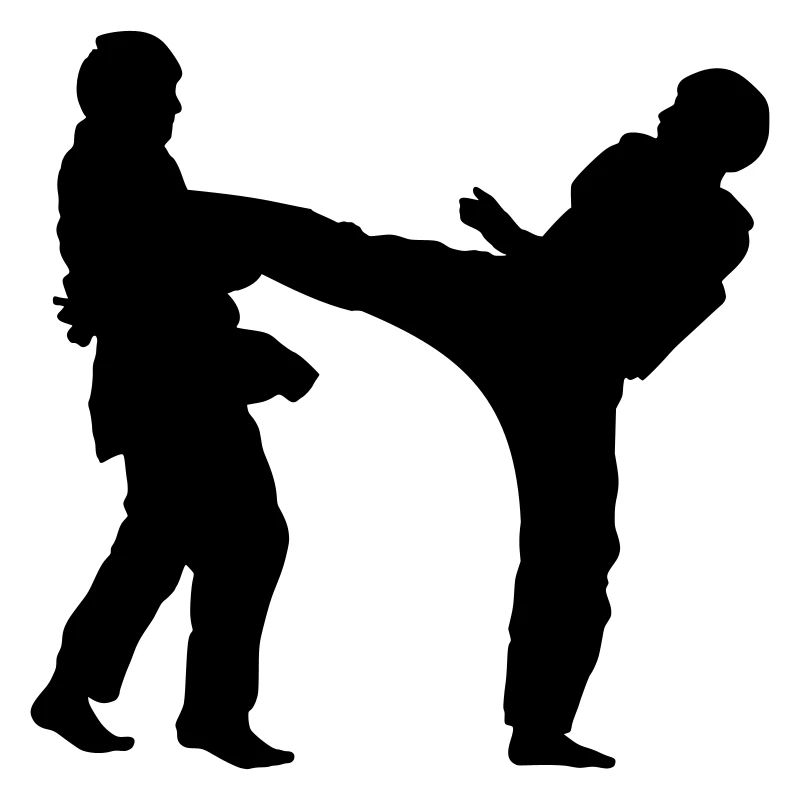 taekwondo kickers 1c