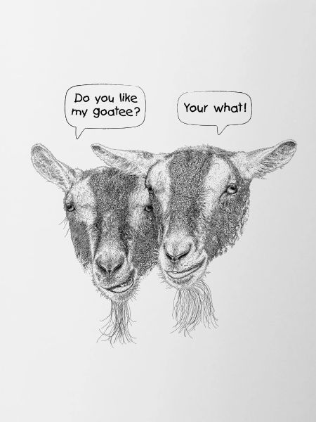 Funny Goatee Beard