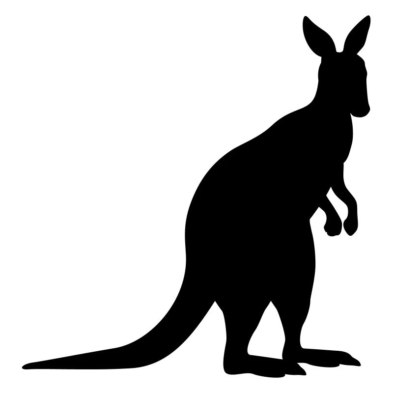 kangaroo animal