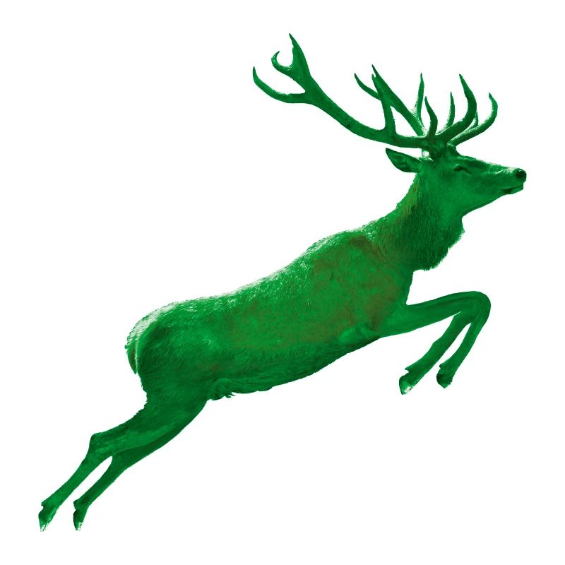 Hirsch springt ins Grüne