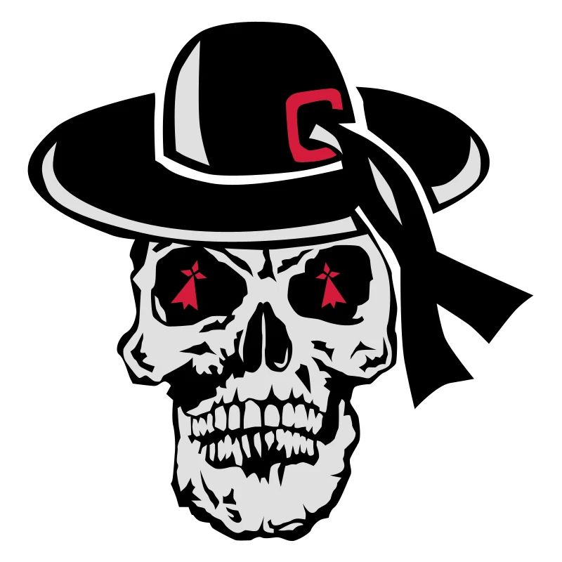 skull breton hat general skull