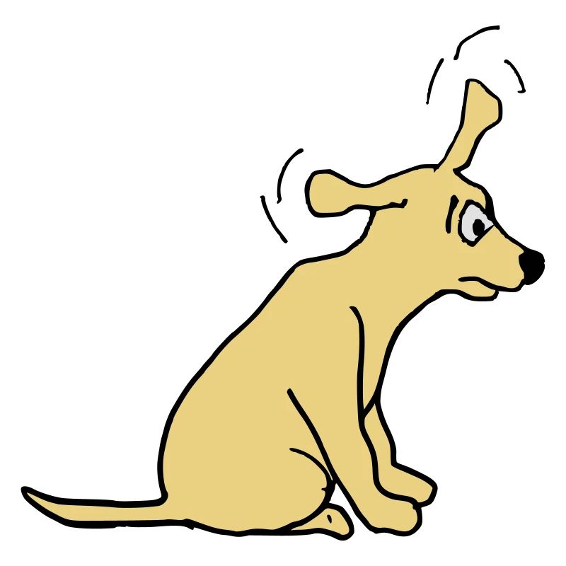 Chien