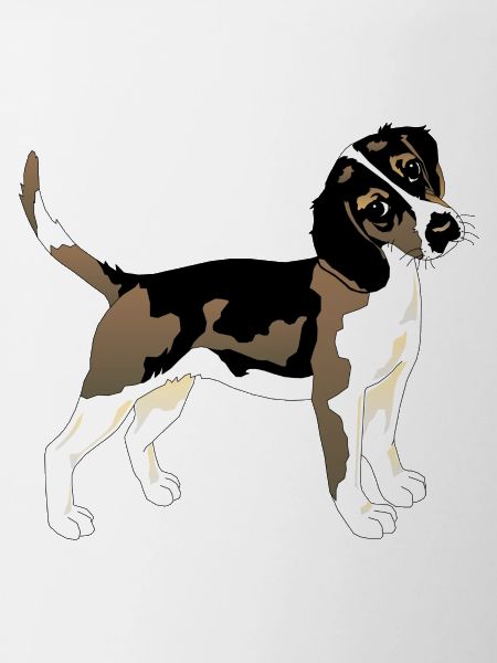Chien