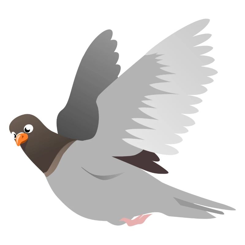 gris Dove