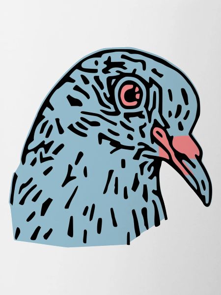 pigeonnot