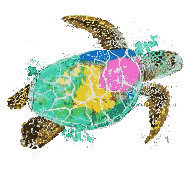 Happy rainbow turtle