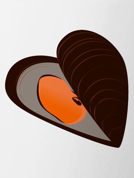 mussel56