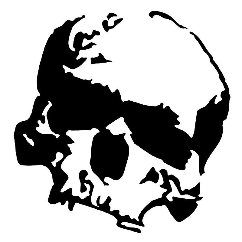 RS Skull