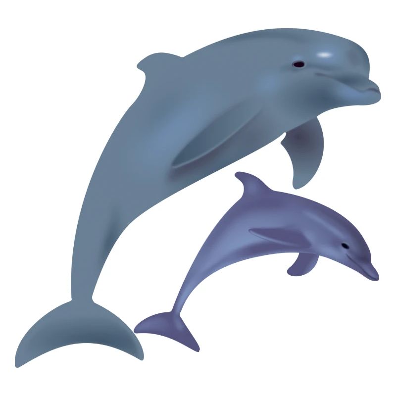 Les dauphins