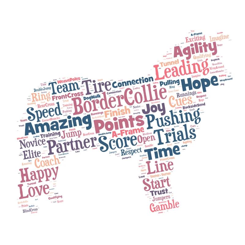 Agility Border Collie Wordcloud engl