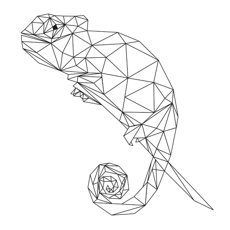 Chamäleon Chamaeleon Cham