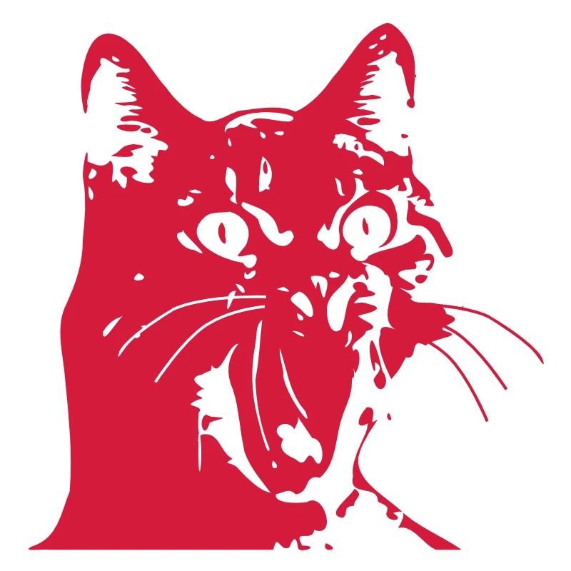 Chat OMG!