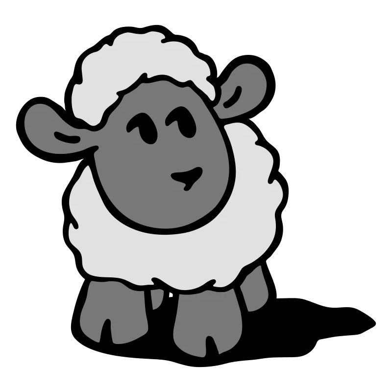 Schaf