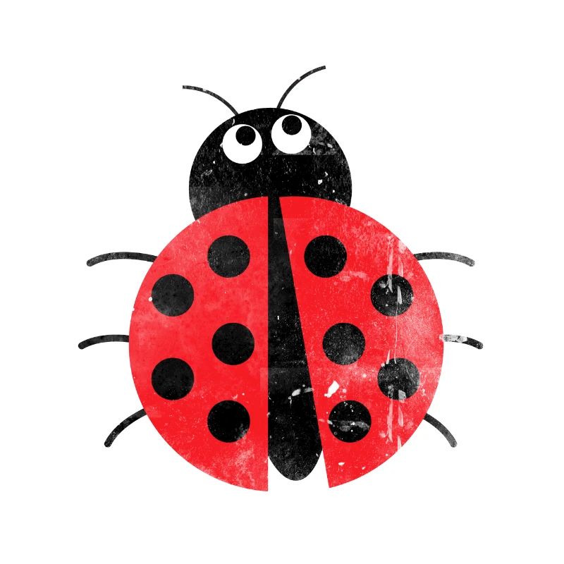 Ladybug shirt spring gift insect