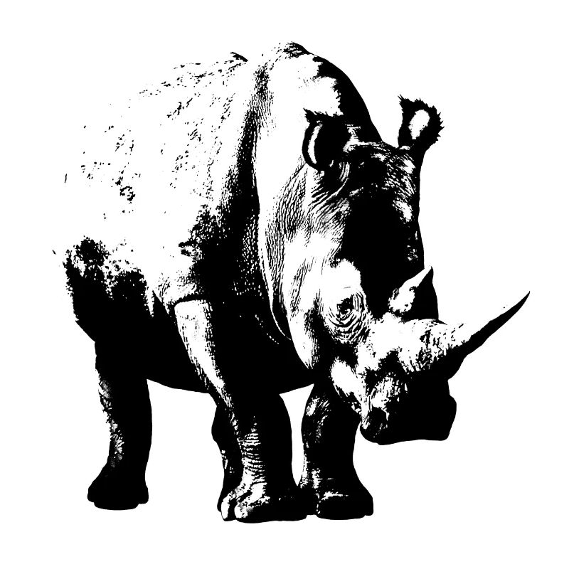 White Rhinoceros (shadow only)