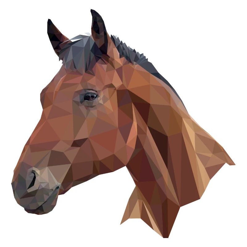 Pferd Poly