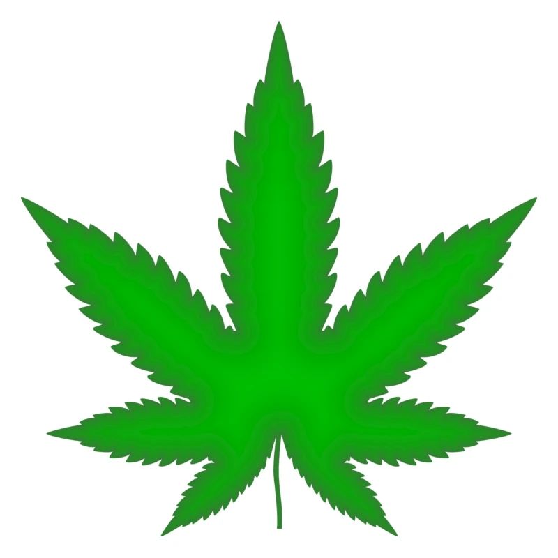 Feuille de marijuana