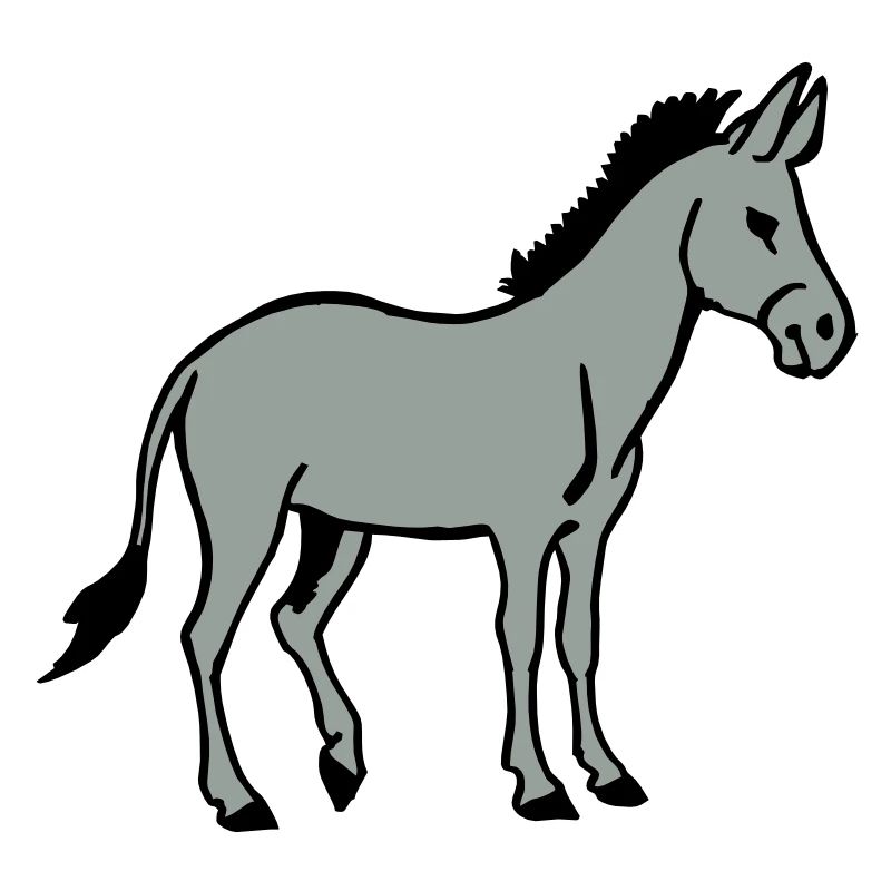 Âne