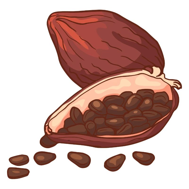 Cocoa cocoa pod chocolate cocoa beans