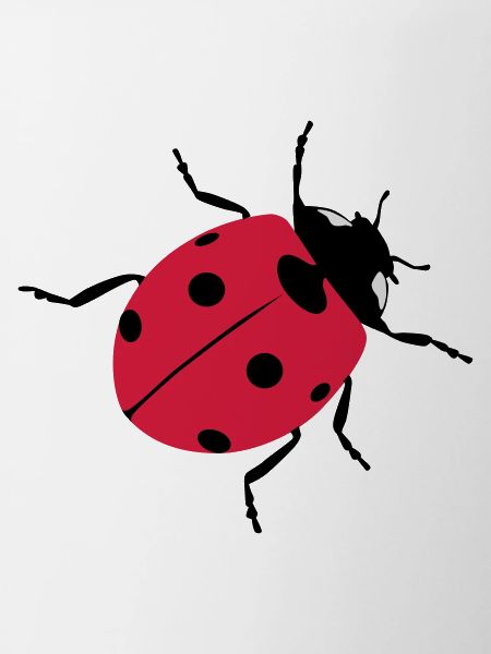 Ladybugs as good luck charms