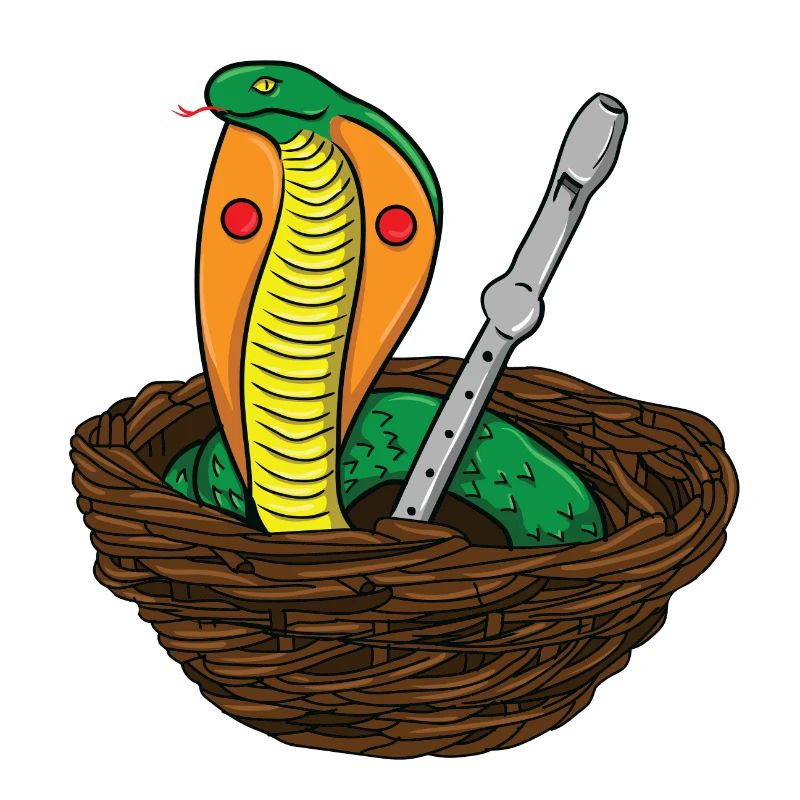 Cobra - Serpent - Boa Mamba Poison Animal
