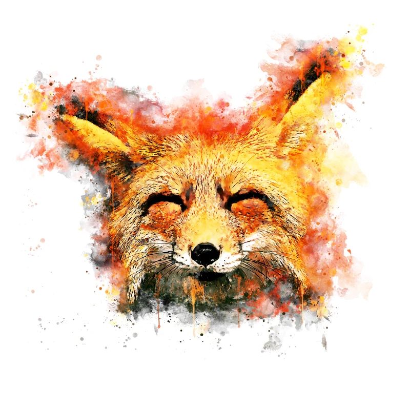 gxp fox fox week-end splatter aquarelle
