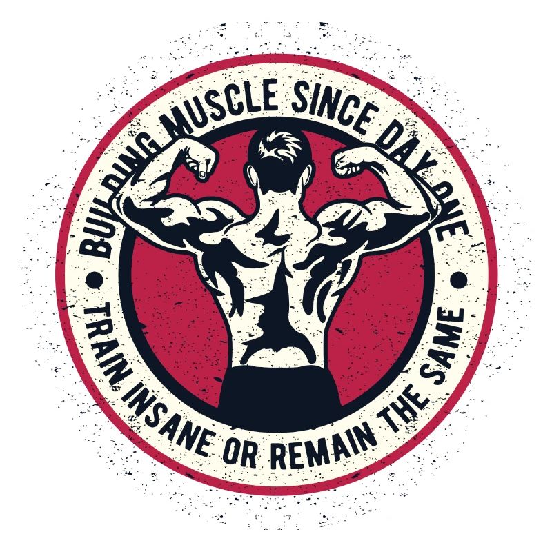 Muscle de construction