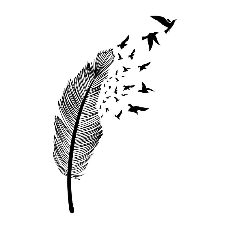 Feather and bird