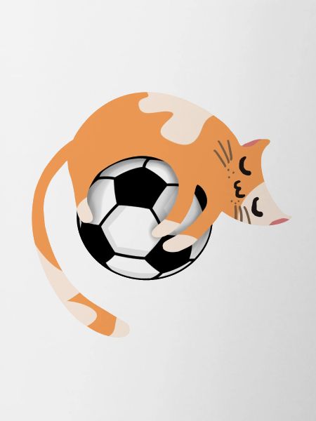 Cat with football