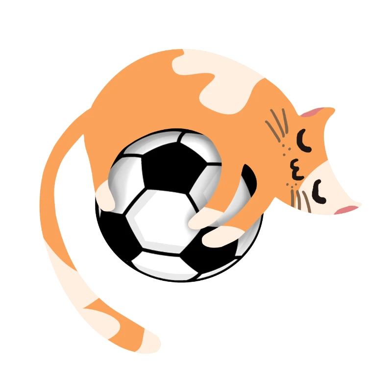 Chat avec le football
