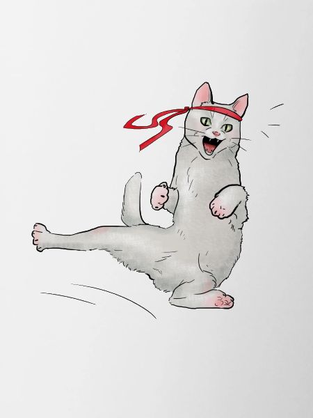Cat at karate