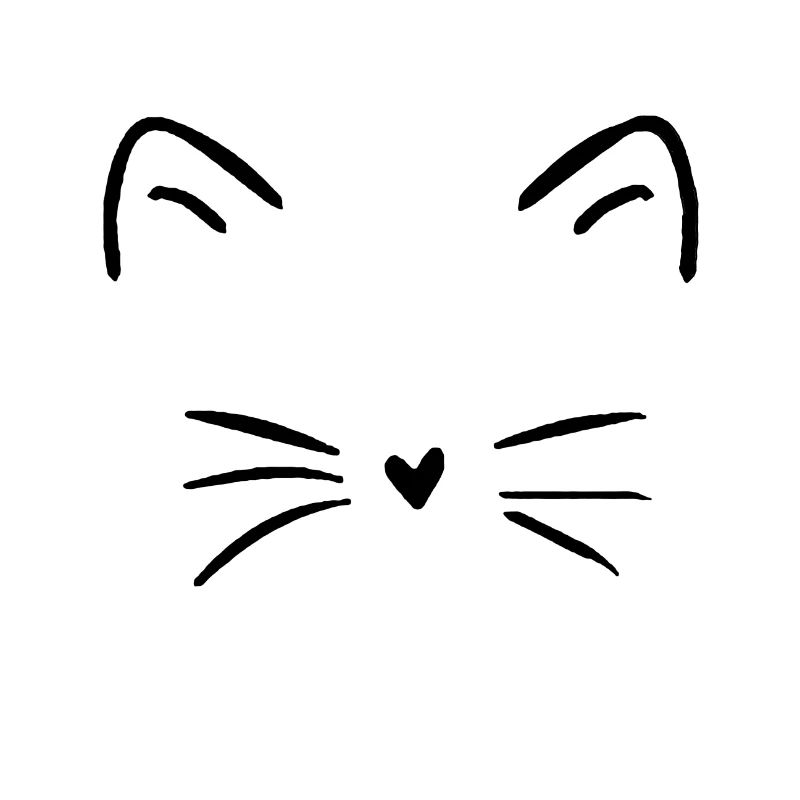 Katze Cat Kätzchen Kitten Fellnase Schnurrhaare
