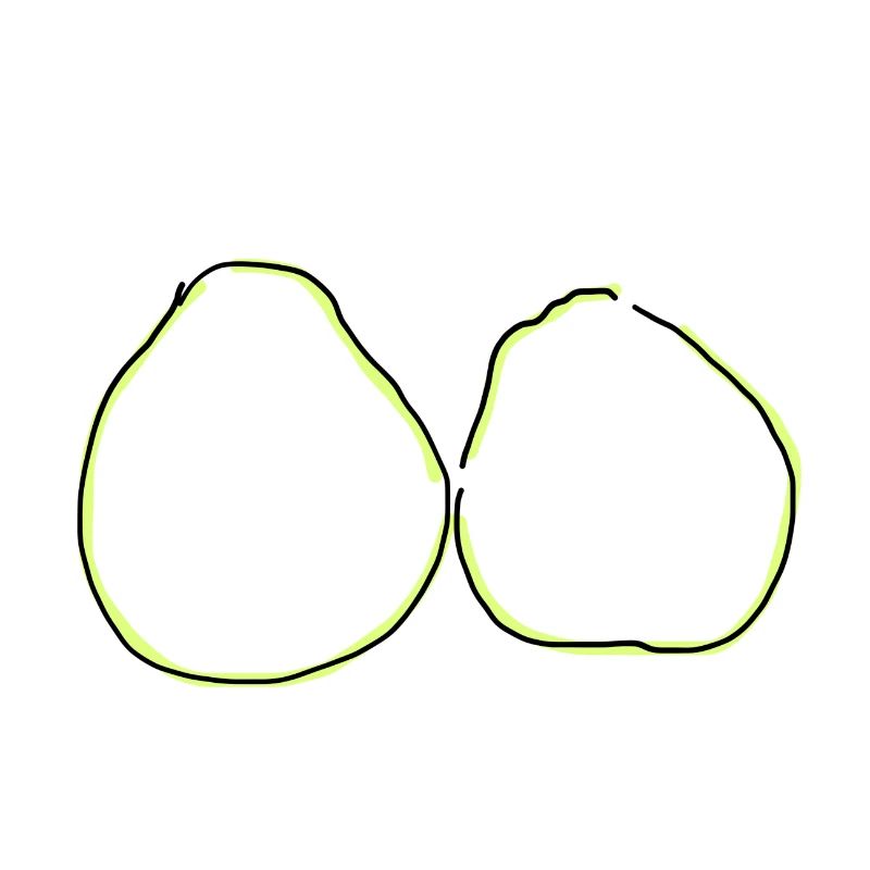 pamplemousse