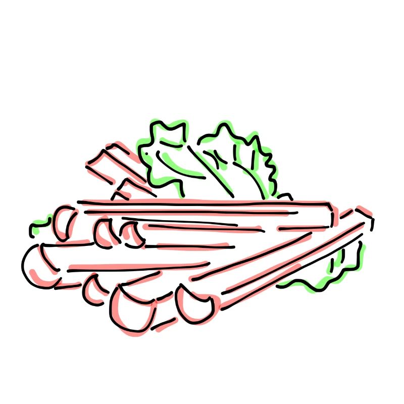 Rhubarbe