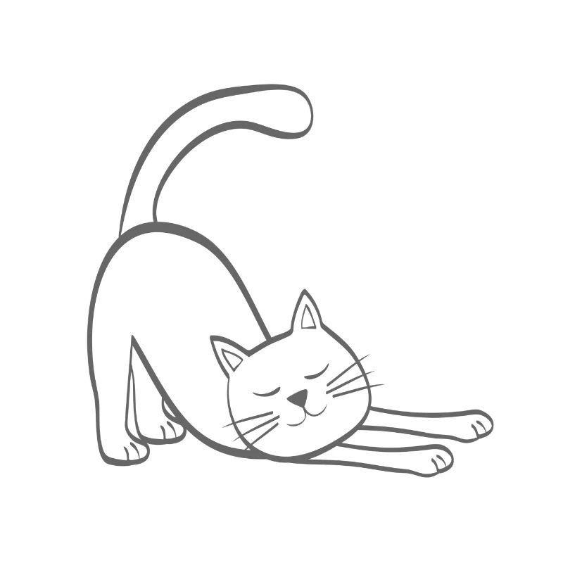 Cat stretch cat kitten stretch stretching